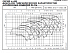 LNEE 50-160/55/P25VCS4 - График насоса eLne, 4 полюса, 1450 об., 50 гц - картинка 3